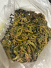 裙帶菜 鮮海帶非干貨海帶嫩苗兒童海菜海白菜海藻菜涼拌 裙帶菜嫩葉250g 曬單實(shí)拍圖