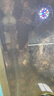 涵酷原生缸溪流沙造景底沙天然溪流石南美缸雷龍魚水草裝飾河沙川藏砂 小中大混合沙5斤【4-50毫米】 曬單實拍圖