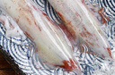 新鮮速凍筆管魚(yú) 鮮嫩海捕海兔小管魷魚(yú) 連云港產(chǎn)地直發(fā) 2500g(凈重)  5斤5包 曬單實(shí)拍圖