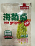 云山半鹽漬海葡萄100g*2即食兒童涼拌菜魚(yú)子醬火鍋商家用贈4種蘸料海藻 曬單實(shí)拍圖