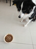 好主人鉑金酶解雞肉犬糧高消化高吸收10天改善軟便全價(jià)美味凍干犬糧 【玻璃胃專(zhuān)研】鉑金成犬糧4斤 曬單實(shí)拍圖
