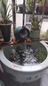 FISH MUSI陶罐罐流水擺件養(yǎng)魚過濾加氧水泵流水器循環(huán)陶瓷圓形魚缸過濾器 55cm木排流水過濾器（帶水泵濾材） 曬單實拍圖