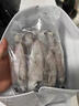 筆管魚(yú)新鮮冷凍野生海捕筆管魚(yú)小魷魚(yú)小海兔子現捕新鮮海鮮水產(chǎn) 筆管魚(yú)【1斤裝】 曬單實(shí)拍圖