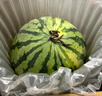 京鮮生 新疆哈密瓜/西州蜜 2粒裝 凈重5-7斤 單果2.5斤起 生鮮水果禮盒 曬單實(shí)拍圖