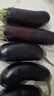 壽光農(nóng)家紫茄子紫茄新鮮現(xiàn)摘生鮮超市蔬菜燒烤搭檔 二斤綠把茄子 2斤 曬單實(shí)拍圖