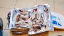 魷魚圈5斤裝魷魚現(xiàn)切新鮮冷凍生鮮魷魚凍貨酥脆扒皮魷魚半成品 新鮮現(xiàn)切 大號魷魚圈 1斤(凈重) 曬單實拍圖