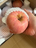 煙臺蘋果水果棲霞紅富士新鮮生鮮果山東特產(chǎn)脆甜 精品果 凈重4.5斤（果徑80mm以上） 曬單實拍圖