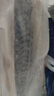 市舶士挪威進(jìn)口北極物產(chǎn)青花魚(yú) 新鮮冷凍青魚(yú)鯖魚(yú)海鮮水產(chǎn)燒烤青花魚(yú)片 青花魚(yú)900g（6片獨(dú)立包裝) 曬單實(shí)拍圖