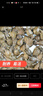 榮郁鱉小甲魚苗活體100只水魚苗王八團(tuán)魚苗生態(tài)外塘養(yǎng)殖龍魚 10只（半公半母） 曬單實(shí)拍圖