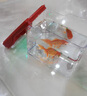 OUOETY魚(yú)缸客廳小型家用水族箱塑料帶燈多功能美觀(guān)金魚(yú)缸桌面造景 無(wú)燈款-紅 無(wú)規格 曬單實(shí)拍圖