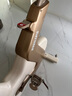 飛利浦家用動感單車智能自發(fā)電健身器材減肥運(yùn)動室內(nèi)自行車小金鹿3102B 曬單實(shí)拍圖