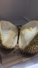 京鮮生 進口金枕頭榴蓮 凈重6-7斤 1個裝  鮮果 生鮮 新鮮水果 曬單實拍圖