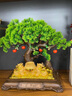 發(fā)財(cái)樹擺件金蟾客廳辦公室店鋪前臺(tái)裝飾品白菜開業(yè)擺件工藝品 【順豐】YX12寸金蟾納財(cái)迎客松39 曬單實(shí)拍圖