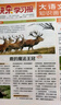 新刊！大語(yǔ)文知識畫(huà)報上下冊】天星教育25秋26春知識畫(huà)報小學(xué)生少年報期刊雜志快樂(lè )學(xué)習報紙一期一課小學(xué)1-6年級52期全年訂閱任選同步課本畫(huà)報隨課閱讀課前預習課后積累 三年級上冊【2025秋季】共26期 曬單實(shí)拍圖