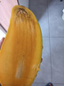 田良季廣西金煌芒果特大芒大青玉水仙新鮮芒果凱特生鮮水果送禮品物盒 凈重3斤裝【嘗鮮】 甄選特級(jí)果【單果300-450g】 曬單實(shí)拍圖
