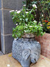 荷府家居 家居戶(hù)外庭院大象擺件門(mén)口招財抱鼓石門(mén)墩一對 新中式人造石墩子花盆 花象兩只+花盆 曬單實(shí)拍圖