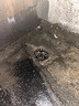 曇蓓漫不銹鋼天臺地漏防堵網(wǎng)罩天溝過濾陽臺屋頂75排水管110下水道蓋子 不銹鋼天臺地漏【110】 【防堵防塞,快速排水】 曬單實拍圖
