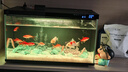 瘋狂水草魚(yú)缸石頭觀(guān)賞石琉璃水晶石底部造景石套餐全套布景創(chuàng  )意擺件裝飾 【冰藍】琉璃15-20顆左右（15-20cm魚(yú)缸） 曬單實(shí)拍圖