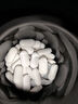 YEFE美國(guó)進(jìn)口專利抗幽門螺旋桿菌益生菌羅伊氏乳桿菌成人口臭腸胃便秘 3瓶裝【無效退款】精準(zhǔn)清幽 曬單實(shí)拍圖
