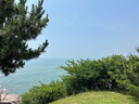 愛步（ECCO）BIOM運動鞋女 經(jīng)典百搭防滑耐磨緩震城市戶外跑步鞋 健步800423 黑色80042301001 38 曬單實拍圖