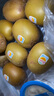 佳沛（zespri）新西蘭陽光金奇異果原箱 16粒巨無霸 單果重約202-230g   獼猴桃 曬單實拍圖
