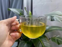北京同仁堂原料夏季解暑清涼茶暑氣適合夏天喝的涼茶包高溫工地戶外運動防暑 暑氣清涼茶【1盒/30包】 曬單實拍圖