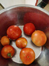 藍(lán)月亮內(nèi)衣清洗液內(nèi)衣洗衣液袋裝500g 原液補(bǔ)充裝 去血漬除菌>99% 曬單實(shí)拍圖