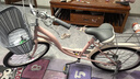 鳳凰 自行車城市輕便通勤車女式學生復古公主車成人單車22寸 青春花語 新款花語22寸櫻花粉 曬單實拍圖