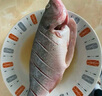 鮮活沖浪河鱸魚400-500g/條 曬單實拍圖