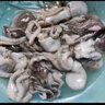 美加佳 三去小章魚凈重1斤（8-13只） 去牙去臟八爪魚 海鮮水產(chǎn) 曬單實(shí)拍圖