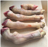 綠之邦（Luzhibang） 內(nèi)蒙古羊蹄2.4斤凈重 新鮮羔羊肉羊蹄子小腿腳爪火鍋燒烤食材 曬單實(shí)拍圖