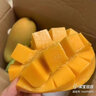 山姆伯伯 凱特芒果【多地次日達】攀枝花新鮮芒果水果海南芒果水果禮盒 5斤裝【較劃算-20%人選】凈4.5斤 【清甜 | 3A精選級】單果250-300g+ 曬單實拍圖