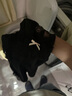 浪莎睡衣女春夏薄款冰絲帶胸墊鏤空性感簡(jiǎn)約蕾絲邊睡裙露背吊帶純欲風(fēng) 曬單實(shí)拍圖