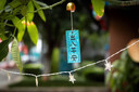 索尼（SONY）【保價(jià)11.11】Alpha 6700 APS-C微單相機 創(chuàng  )意濾鏡 AI智能芯片 SEL18135套機（ILCE-6700/a6700） 曬單實(shí)拍圖