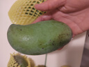 閩域?qū)r四川攀枝花凱特芒果 【閃送】特大芒果青皮金煌貴妃當(dāng)季送禮水果 精選裝｜3斤裝｜試吃裝｜凈重2.8斤 精選裝｜單果300克+｜甜 曬單實(shí)拍圖