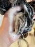 UIJO胖東來控油蓬松洗發(fā)水持久留香柔順去屑止癢男女金榜第1洗頭膏露  曬單實(shí)拍圖