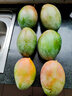 京覓四川凱特芒果新鮮水果凈重4.5斤單果400g+源頭直發(fā)包郵 曬單實拍圖