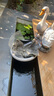 珠葛亮太陽能潛水泵戶外無電自循環(huán)流水器12伏直流魚池魚缸過濾大功率 12V50W雙高效板+25W泵-總線長10m 曬單實(shí)拍圖