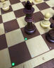 棋栗chessnut air智能國際象棋木制電子棋盤聯網比賽人機對戰(zhàn)教學訓練 棋栗chessnut air藍牙款 曬單實拍圖
