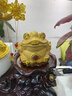 菲斯鉑亞天然黃水晶發(fā)財(cái)樹(shù)擺件家居客廳招財(cái)辦公室搖錢(qián)樹(shù)開(kāi)業(yè)禮品喬遷禮物 大號(hào)財(cái)源滾滾(金蟾) 高約40cm 曬單實(shí)拍圖
