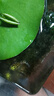 活體河豚觀(guān)賞魚(yú)娃娃潛水艇淡水熱帶小魚(yú)寵物 潛水艇生氣包5條+1條備損 3-4cm 曬單實(shí)拍圖