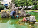 科洛伊304不銹鋼潛水泵 家用耐腐蝕污水泵排污泵單項(xiàng)農(nóng)用清水污物抽水泵 25QDX1.5-揚(yáng)程14米-0.37千瓦-1寸 曬單實(shí)拍圖