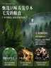 歐橘ORGINESE側(cè)柏葉洗發(fā)皂手工香皂角何首烏中草藥固發(fā)防斷發(fā)控油去屑洗發(fā)水 曬單實(shí)拍圖