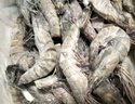 鮮京采 鮮凍大號(hào)黑虎蝦 去冰凈重2斤 31-40只/盒 斑節(jié)對(duì)蝦 曬單實(shí)拍圖