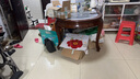 雀巢健康科學(xué)小佰太能小佳膳400克 特殊配方奶粉1-10歲全營養(yǎng)配方高熱卡 小佰太能400g6罐 曬單實(shí)拍圖