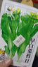 農之子 連州菜心種子種籽甜脆正宗廣東奶油白菜苔多芽甜菜心四季蔬菜 農之子早白菜苔2號種子 10g/袋 曬單實(shí)拍圖