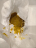 合生元（BIOSTIME）低敏新生兒童益生菌滴劑 嬰兒雙歧桿菌呵護腸胃8ml 曬單實拍圖