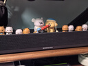 森海塞爾AMBEO Soundbar MINI音箱SB02SC-BLACK聲吧回音壁一體式家庭影院藍(lán)牙電視無線杜比音效立體聲音響 AMBEO音響-SB02SC【黑色】mini 曬單實(shí)拍圖