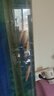 金苔鼠魚魚缸清潔魚工具魚魚缸除藻清理糞便小型熱帶觀賞魚魚活體 金苔鼠7條送備損3條【發(fā)10條】 曬單實拍圖