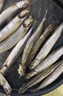 戀品惠多春魚(yú)滿(mǎn)籽新鮮冷凍多籽魚(yú)燒烤油炸商用批發(fā)多春冰鮮海魚(yú)生鮮魚(yú)類(lèi) 多春魚(yú)10斤 曬單實(shí)拍圖